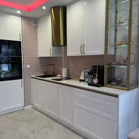 Apartments Merlin -Antresola Przy Starowce Zamosc  Exterior photo